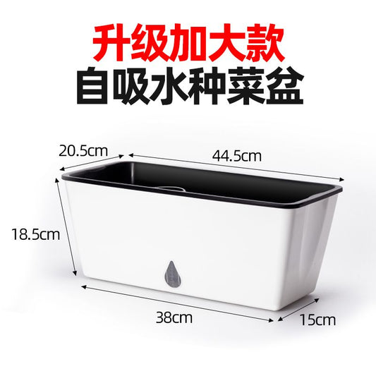 伯明翰仓 5个装自吸水花盆阳台懒人绿植盆栽送种菜铲