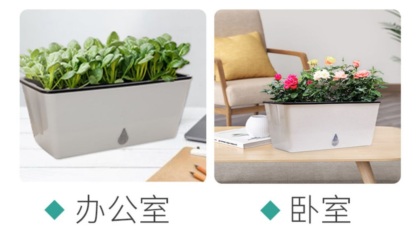 自吸水种菜盆 1个装带铲 Self-Watering Planter|阳台种葱蒜 · 底部蓄水 · 带铲即种