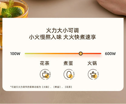 小熊养生壶 100至600W火力调节 花茶煮蛋火锅档
