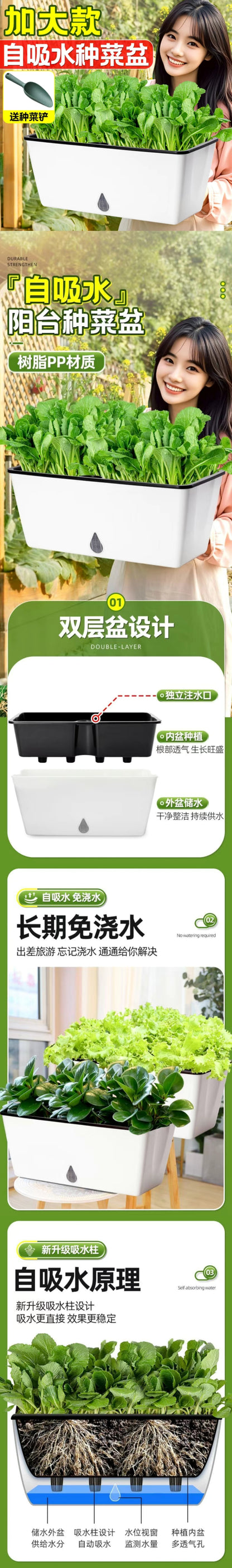 自吸水种菜盆 加大款主图与双层盆自吸水原理剖面