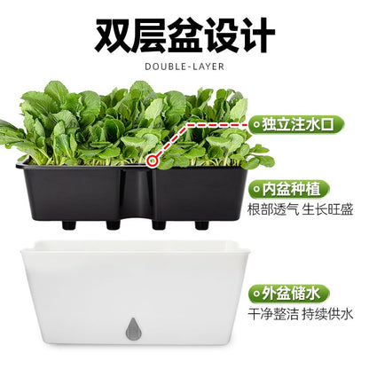 Cookbay 自吸水花盆阳台懒人绿植盆栽 5个装