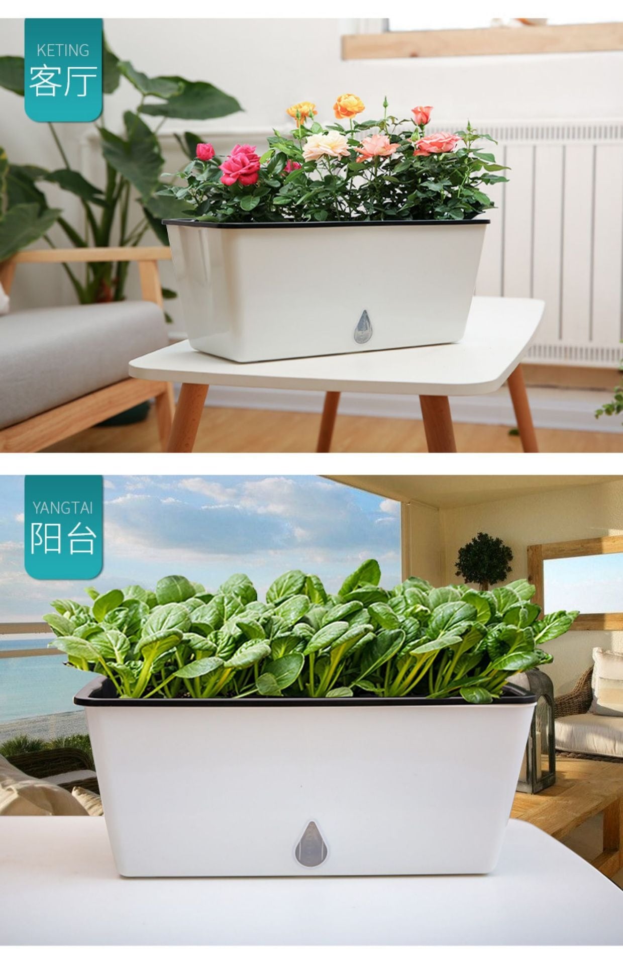 自吸水种菜盆 1个装带铲 Self-Watering Planter｜阳台种葱蒜 · 底部蓄水 · 带铲即种