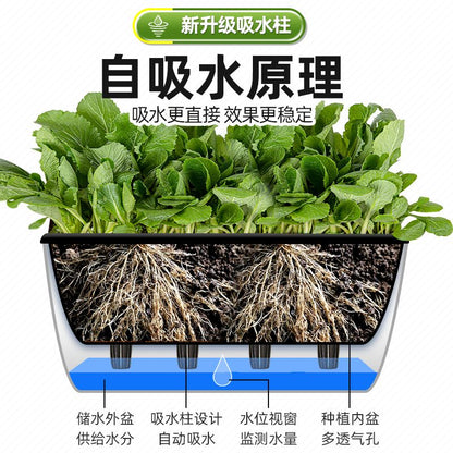 Cookbay 自吸水花盆阳台懒人绿植盆栽 5个装