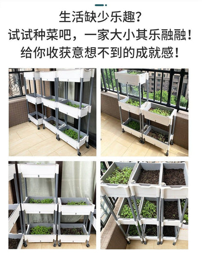 三层自吸水种菜盆 四张阳台种菜实拍拼图