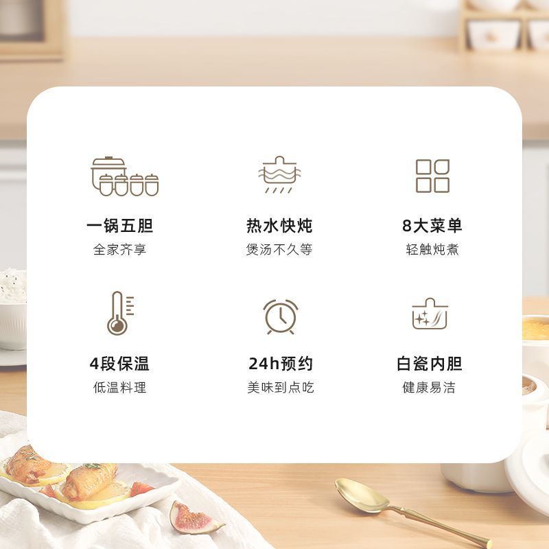 徕多4.5L一锅五胆蒸炖 LOTOR 4.5L Electric Stew Pot